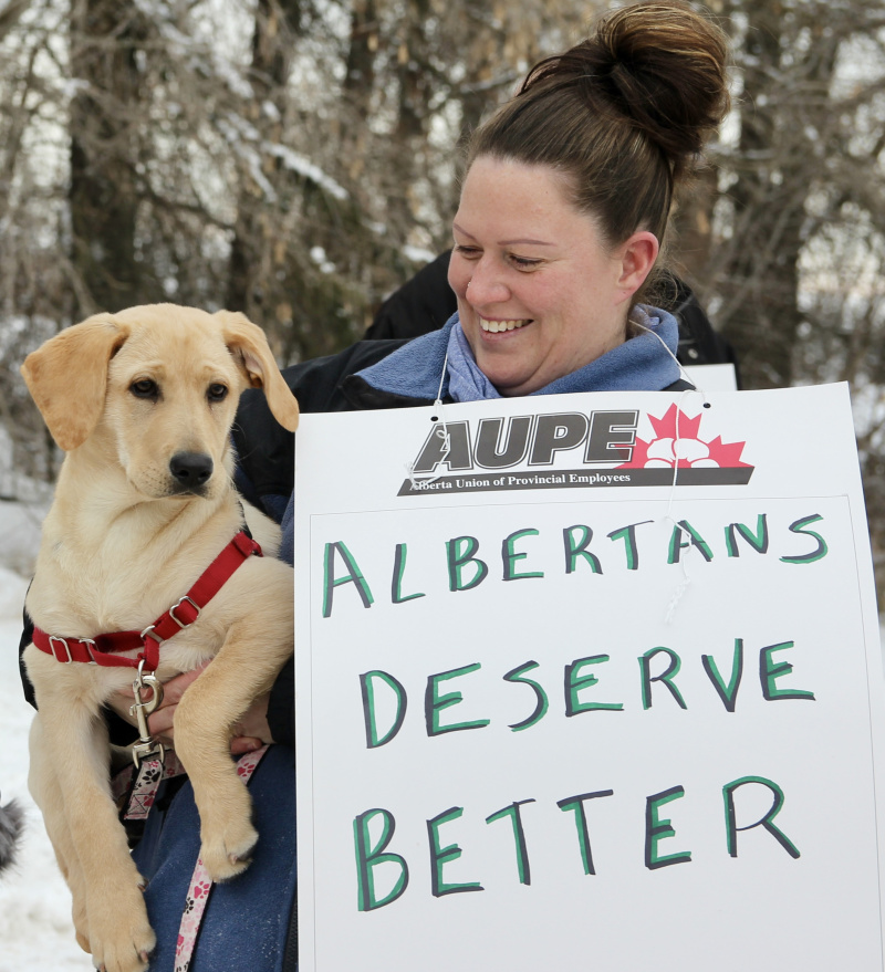 An AUPE member wearing a picket sign poses with their young yellow labrador retriever.